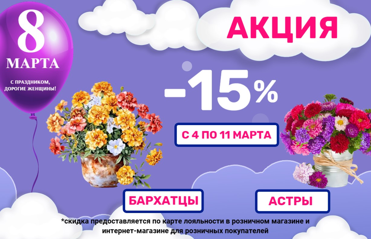 АКЦИЯ на АСТРЫ и БАРХАТЦЫ АКЦИЯ на АСТРЫ и БАРХАТЦЫ